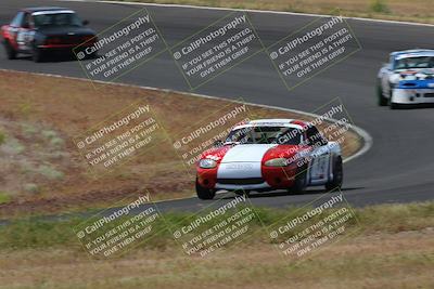 media/May-04-2024-Lucky Dog Racing (Sat) [[d39539b3f3]]/Race Pics/1015am (Turn 2)/